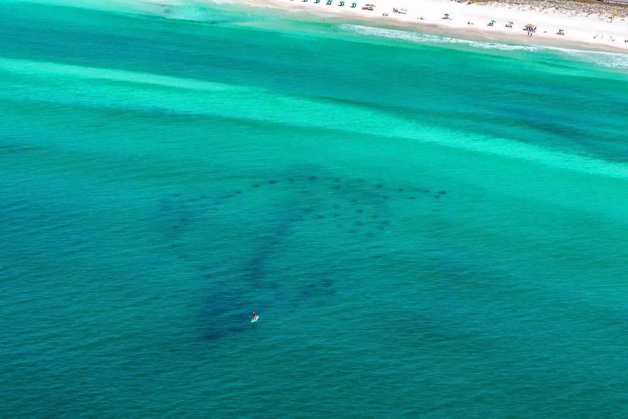 Casa Mar Villa Destin
